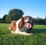 click for a larger view